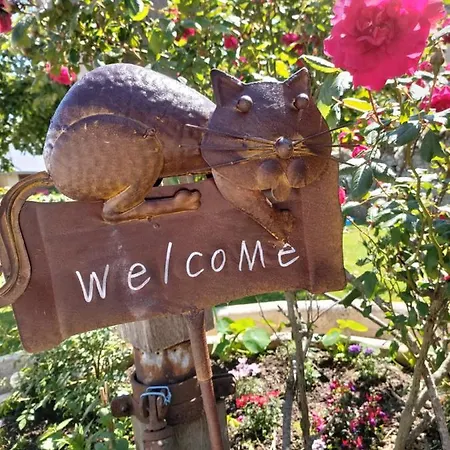 Restaurant Le Clos De L 'ancien Pressoir Commes