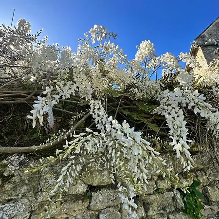Hotel Restaurant Le Clos De L 'ancien Pressoir Commes