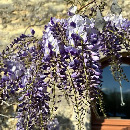 Hotel Restaurant Le Clos De L 'ancien Pressoir
