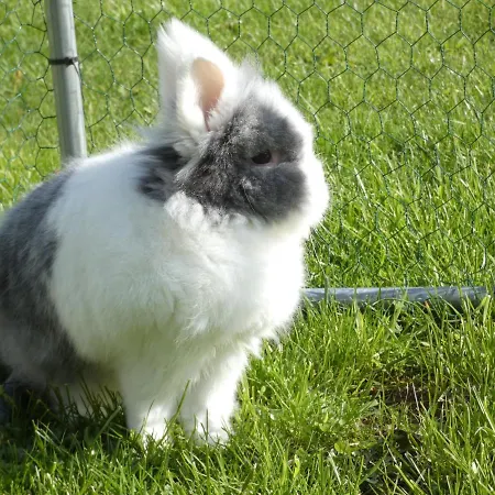 Hotel Restaurant Le Clos De L 'ancien Pressoir 3*