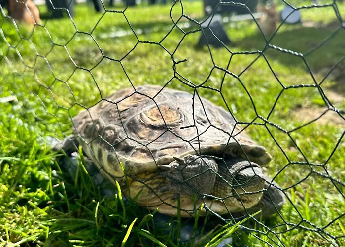 Restaurant Le Clos De L 'ancien Pressoir Commes