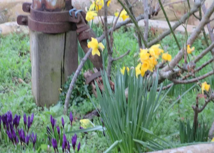 Otel Restaurant Le Clos De L 'ancien Pressoir