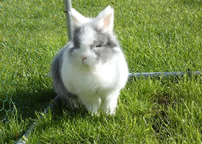 Restaurant Le Clos De L 'ancien Pressoir Hotel Commes