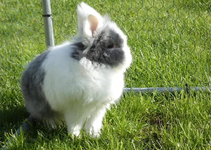 Hotel Restaurant Le Clos De L 'ancien Pressoir 3*