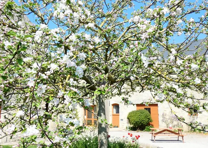 Restaurant Le Clos De L 'ancien Pressoir 3*